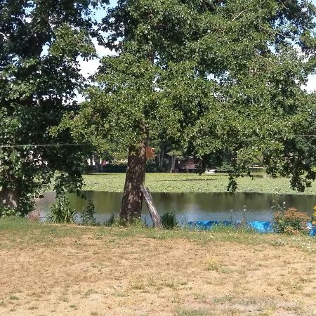 Ferienwohnung Am See Bollingstedt Ngoại thất bức ảnh
